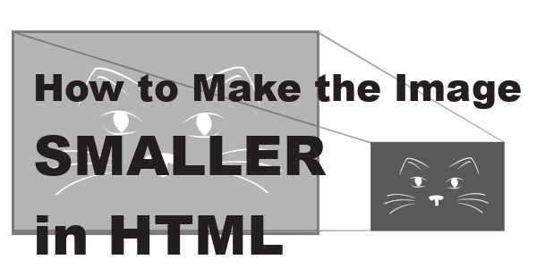 How to Make The Image Smaller in HTML [Upadated 2024]