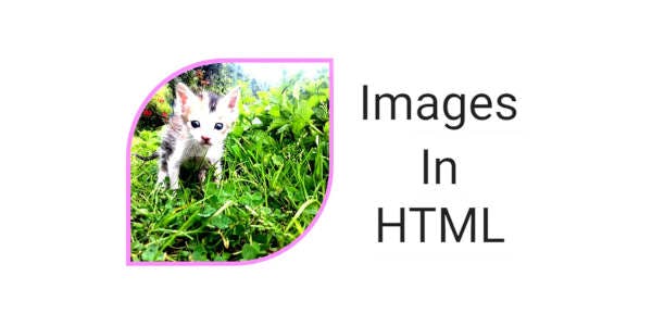 Youtube: How to Insert Image in HTML using Notepad | HTML Images